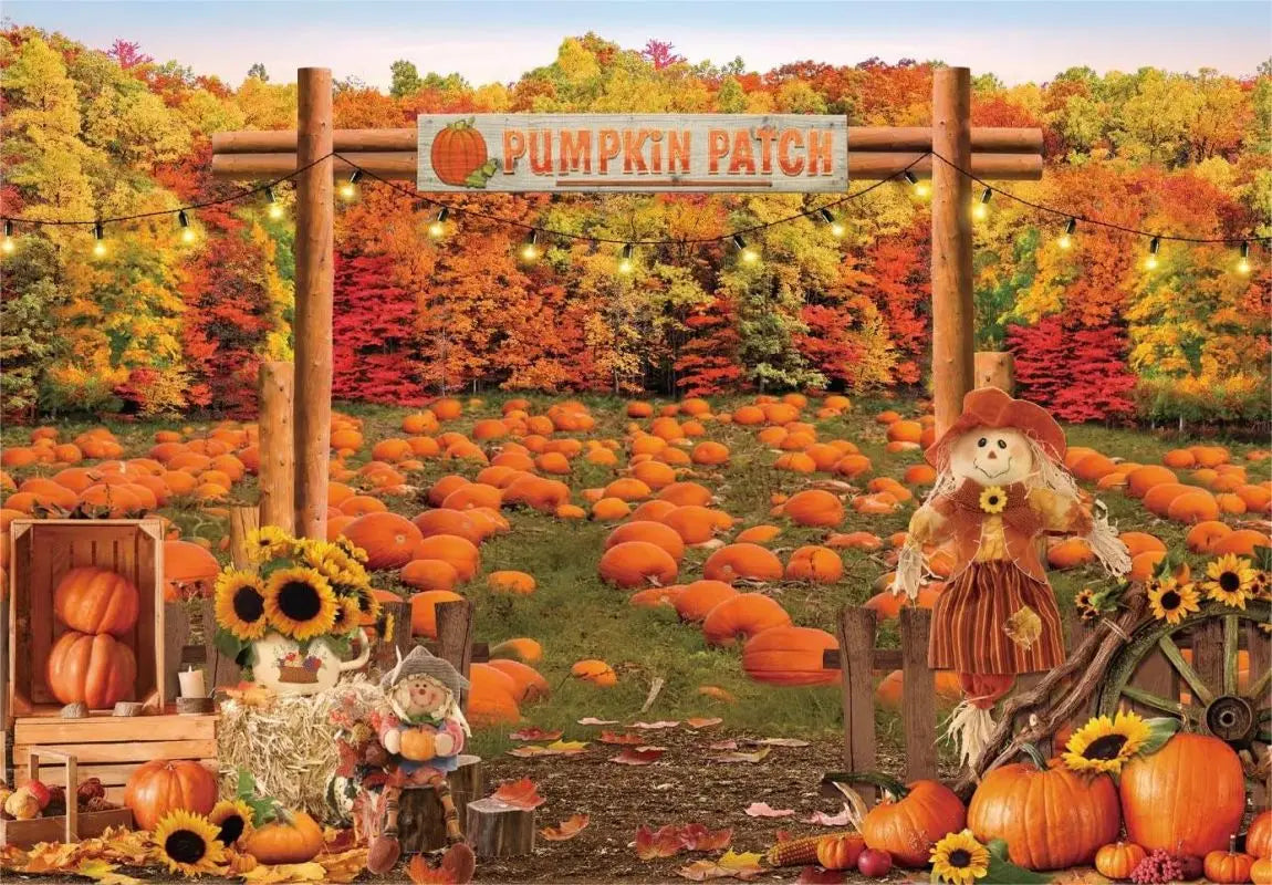 43549283582132|43549283614900|43549283647668|43549283680436|43549283713204|43549283745972