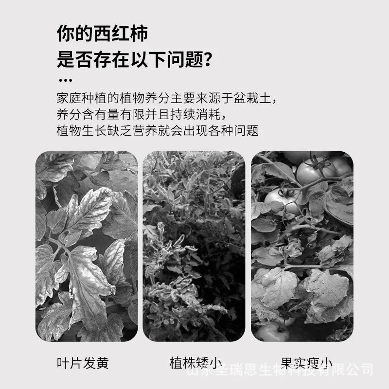 Tomato Fertilizer Tomato Fertilizer Green Healthy Organic Fertilizer Color and Sweet Seed Vegetable Granule Compound Fertilizer