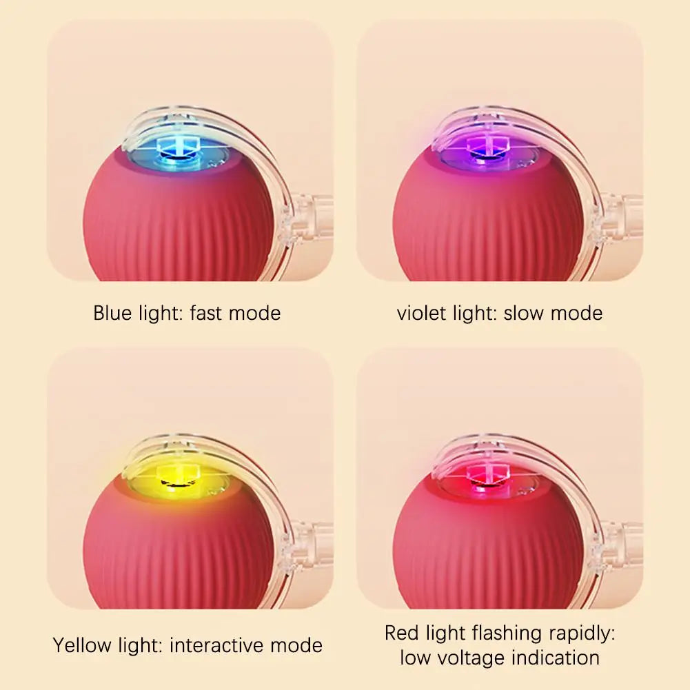 Super Drive Cat Rolling Balls With Bird