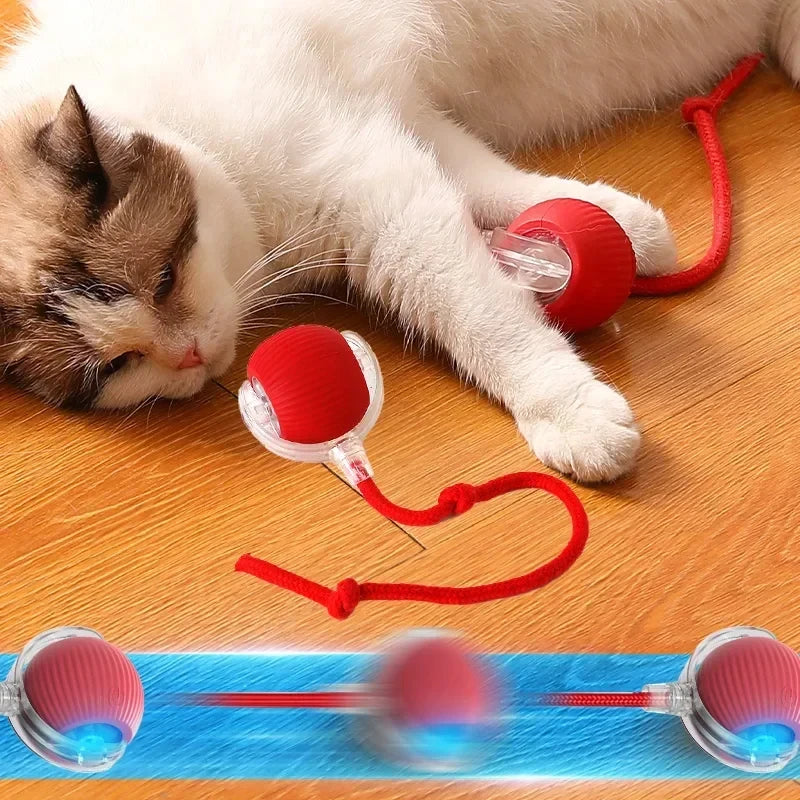 Auto Electric Rolling Ball Toys for Cats