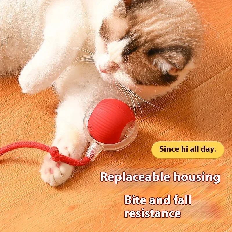 Auto Electric Rolling Ball Toys for Cats