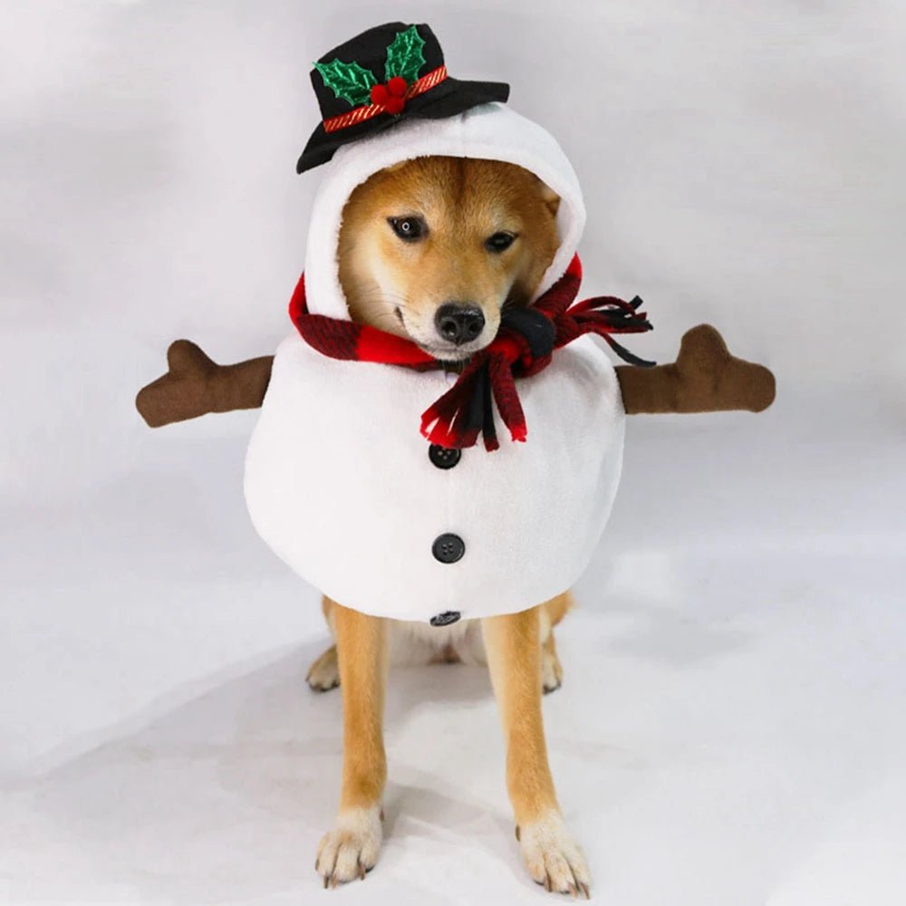 Snowman Dog Costume Outfits