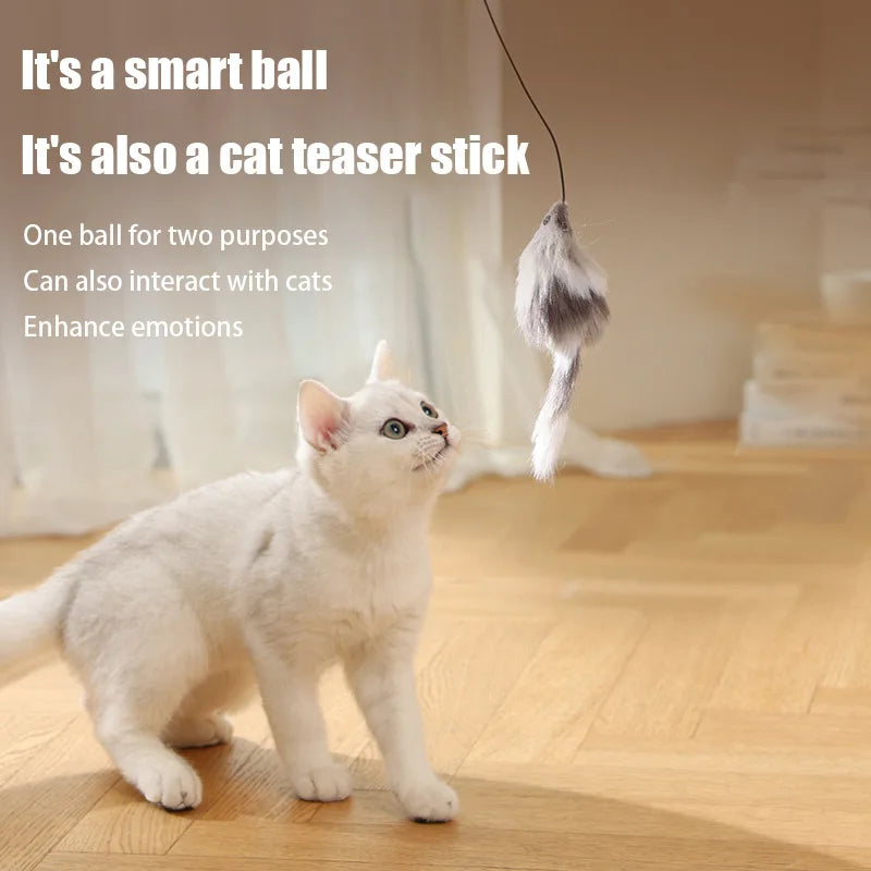 Cat Toys Mouse Teaser