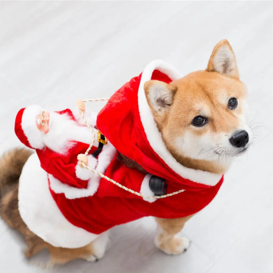 Creative Christmas Dog Costume Funny