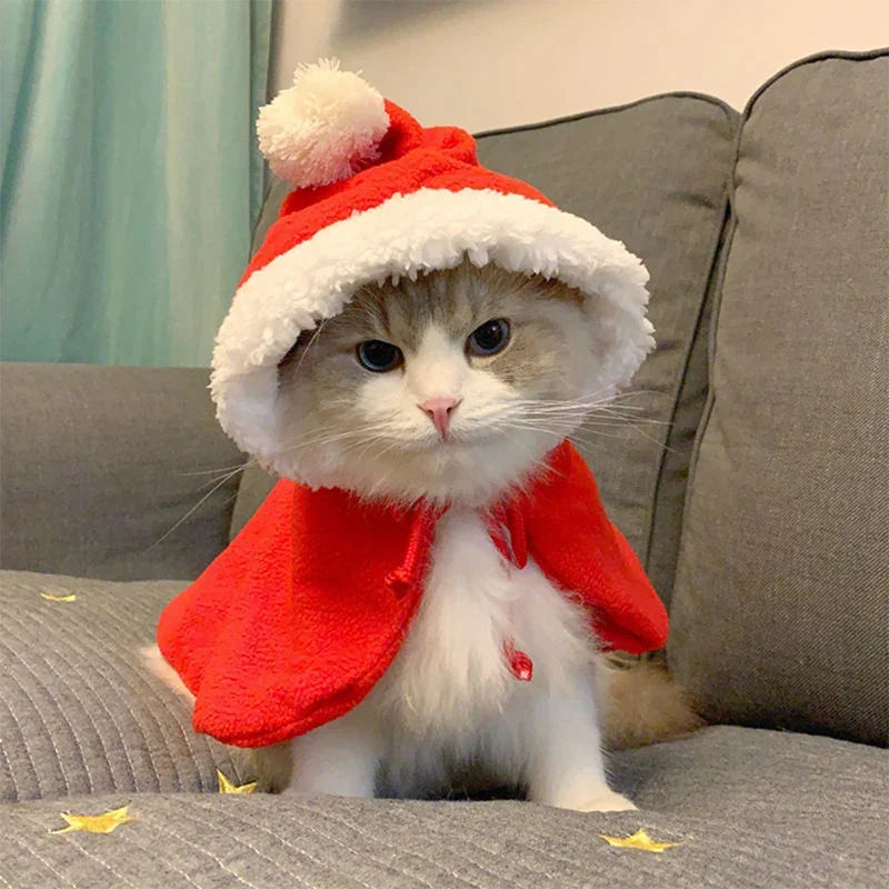 Funny Cat Christmas Costume Santa Cosplay Pet Christmas