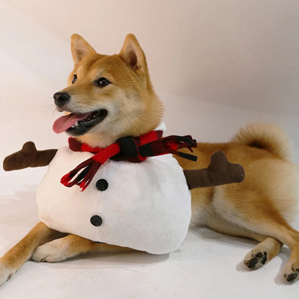 Snowman Dog Costume Outfits