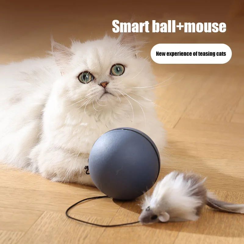 Cat Toys Mouse Teaser