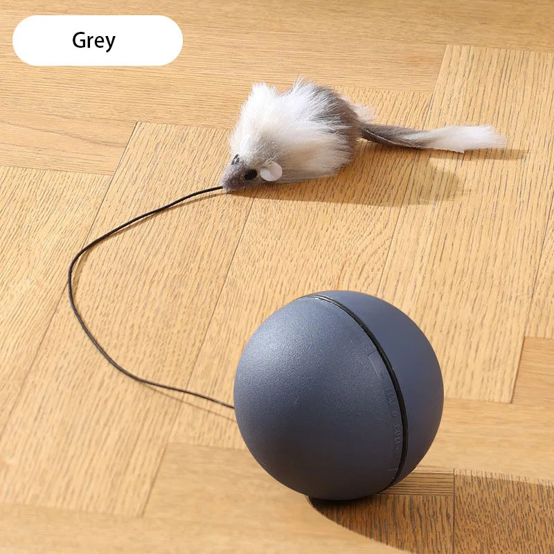 Cat Toys Mouse Teaser